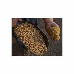 Mejor exportador de harina de soja fresca sin OGM Proveedor de harina de pescado animal y procesamiento de proteína de soja texturizada - Product Image 4