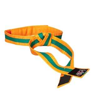 Cinturones de Karate bordados de uniforme de artes marciales personalizados de alta calidad en todos los colores disponibles para la venta a petición de longitud INT - Product Image 1