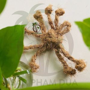 Top Trending Product 2024 Coconut Chew <b>Ball</b> Coconut Rope <b>Ball</b> with Coconut Coir <b>Ball</b> Favorite Pet Toy Cheap Price Coco Eco Brand - Product Image 2