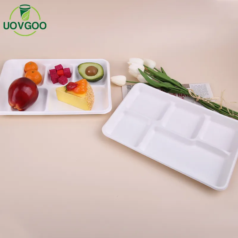 Hot Selling Bagasse Container Wegwerp Lunch Dienblad Suikerriet 5 Compartiment Trays