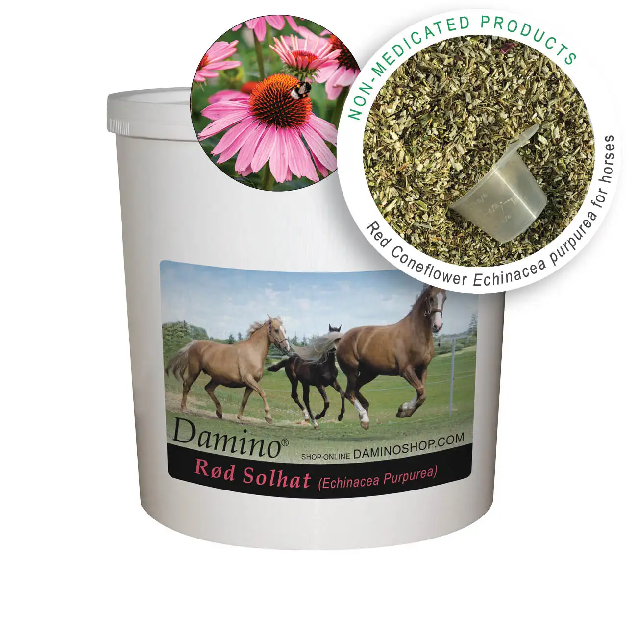 Red Coneflower  Echinacea Purpurea  Consists of the Dried and finely Chopped Plant Parts that Strengthen the Immunesystem 1kg