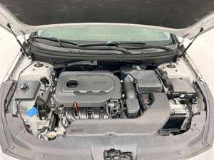 รถมือสองราคาถูก ปี 2024 ขับเคลื่อนล้อหน้า พวงมาลัยซ้าย เบนซิน/น้ำมัน ล้อแม็ก R17 เบาะหนัง หลังคาซันรูฟแบบพาโนรามา รถเก๋ง เครื่องยนต์ 4.5 ลิตร V8 เกียร์อัตโนมัติ ล้อแม็กอะลูมิเนียม สีเข้ม - Product Image 6