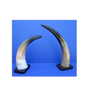 Travail en métal corne de buffle corne de bœuf décoration murale suspension murale avec couleur naturelle poli meilleur - Product Image 4