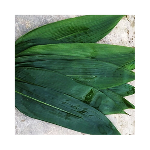 ใบไผ่สำหรับการส่งออกจากเวียดนามในราคาที่ดี | ใบไผ่ขนาดใหญ่จากฟาร์ม - Product Image 1