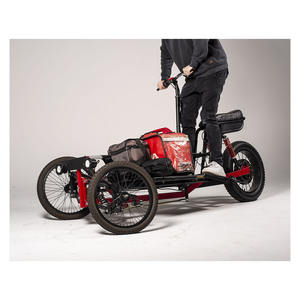 Tricycles de haute qualité pour le transport de marchandises, fournis pour le commerce de gros, conformes aux normes d'exportation. - Product Image 1
