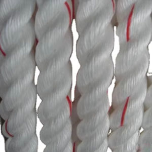 Personalizado 3-4 hilos UHMWPE Danline Twist Rope Alta resistencia 4mm-32mm Rango de tamaño Precio del fabricante Embalaje de polipropileno - Product Image 1