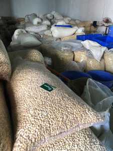 Anacardos crudos de precio razonable Kernel WW320 Anacardos enteros secos de proveedor de Vietnam Embalaje en caja de lata - Product Image 3