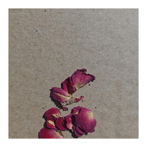 Té de Capullo de Rosa Seca de Alta Calidad, Vietnam Rosae Rugosae, Bebida Herbal Natural para el Mercado de Exportación - Product Image 2