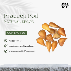 Pot de pot-pourri Pradeep professionnel de qualité supérieure, style moderne vintage, NOUVELLE ARRIVÉE, capsules décoratives naturelles pour mariage, maison, bureau 2026 - Product Image 3