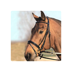 Molde decorativo para arroz, - Product Image 4