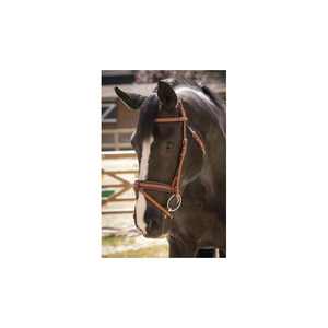 Brida de cuero de caballo de alta calidad al por mayor precio al por mayor - Product Image 3