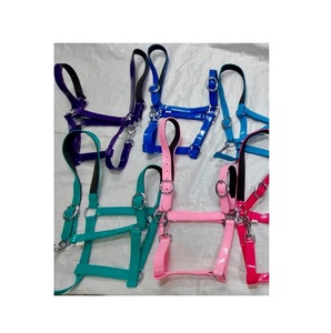 Premium Quality Durable Different Color Nylon Horse <b>Halter</b> For Horses Customized Size & Color Available Wholesale Manufacturers - Product Image 6