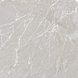 Explora las tendencias globales con los azulejos de porcelana de 600x600 mm de la India. Descubre diseños modernos con azulejos de calidad atemporal para el baño. - Product Image 2