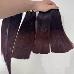 Prix de gros 100% brut vierge vietnamien humain dentelle perruque trame os droite foncé couleur raisin Super Double Drawn Extensions de cheveux - Product Image 1