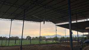 Cowair HVLS Smart Fan 600 P Cowealthy Ventilateur de plafond industriel HVLS pour fermes, granges, entrepôts et bétail Fonctionnement silencieux - Product Image 5