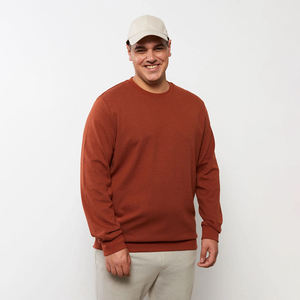 Sweat-shirt pour hommes 100% coton matériel léger sur mesure Logo impression solide col rond manches complètes OEM Servivce - Product Image 2