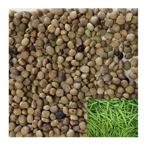 Acheter des graines de guar/haricots en grappe/graines de guar phali au meilleur prix - Product Image 5