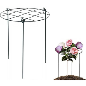 Flower <b>Plant</b> Nursery with Iron <b>Frame</b> Overgrown with Mesh - Product Image 1