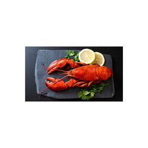 Homard entier frais et queues de homard belgique emballage de boîte d'origine taille 10cm - Product Image 5