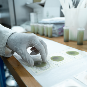 Crema Corporal Adelgazante Argital 1000ml con Arcilla Verde y Aceites Esenciales 100% Natural, Drenante, Tonificante y Reafirmante - Product Image 5