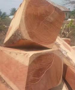 Bûches de bois Doussie Bûches de bois de haute qualité Bois de bois Doussie - Product Image 6