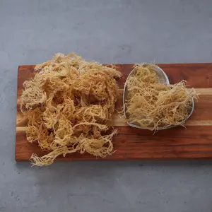 Vietdelta Premium Dry Vietnam Gold Sea Moss de haute qualité séchée et emballée dans un sac pour l'exportation hachée et assaisonnée - Product Image 2