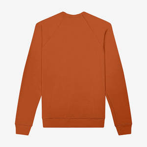 Bella Canvas 3901 Unisexe Mélange Éponge Polaire Raglan Crewneck Sweat XS - 2XL - Product Image 6