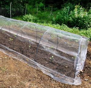 Toptan dayanıklı HDPE Anti-cibinlik özel kesim sera tarım böcek örgü <span class=keywords><strong>Net</strong></span> sebze bahçeleri için - Product Image 5