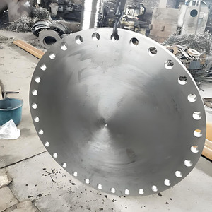 Accesorios de Tubería de Acero Inoxidable ASTM A182 F44, Brida Ciega DN250 PN16, Cara <span class=keywords><strong>FF</strong></span>/RF, Resistentes a la Corrosión, para la Industria Vinícola - Product Image 6