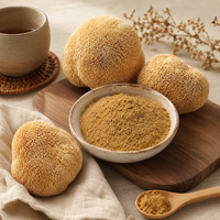 Poudre de champignon crinière de lion de haute qualité en gros, Hericium Erinaceus, qualité alimentaire, OEM ODM, marque privée, approvisionnement en vrac direct usine