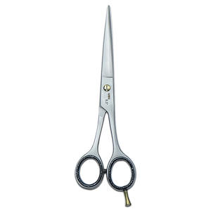 Ciseaux de coiffure professionnels pour salon et domicile, 6,5 pouces, acier à haute teneur en carbone, lame affûtée, pour droitiers - Product Image 1