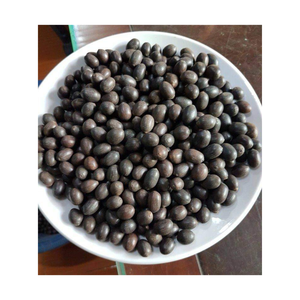 Semillas de loto negras secas de alta calidad al por mayor-Semillas de loto negras secas de la mejor calidad, Semillas de loto negras/blancas secas tropicales - Product Image 3