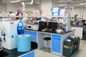 BeaverBeads – Kit d'acide nucléaire, réactif de Purification de la PCR, récupérer l'adn des produits de la PCR, éliminer les impuretés - Product Image 2