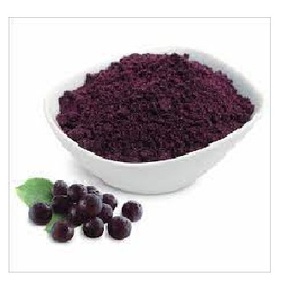 Melhor Qualidade Pura e Natural Secas Black <span class=keywords><strong>Elderberry</strong></span> Fruit Extract Powder a Preço de Atacado da Índia