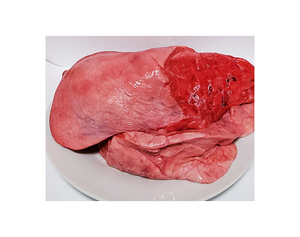 Pulmones de res congelados a la venta en cantidades al por mayor a precios bajos, ideales para compradores al por mayor y proveedores de alimentos. - Product Image 1