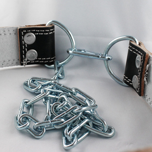 Ceinture double en néoprène dernier modèle avec couleur personnalisée, parfaite pour musculation, musculation, musculation et haltérophilie - Product Image 6