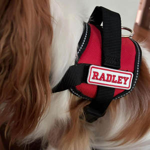 Etiquetas de nombre personalizadas Parches bordados personalizados con su nombre Tela de sarga Hierro en coser Gancho y lazo de sujeción - Product Image 2