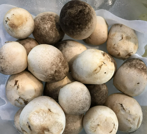 Champignons de paille Farm Fresh 2025 IQF 100% naturels - Product Image 2