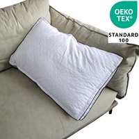 Oreiller de Lit Ergonomique à Motifs Géométriques Solides, Lavable, Confortable pour Hôtels 5 Étoiles, Accessoire de Sommeil