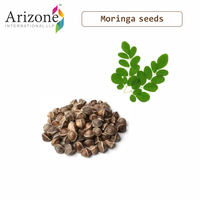 Biji Moringa Oleifera bulat yang dapat diandalkan & kualitas tinggi dari India untuk memberi nutrisi kulit dan rambut bumbu & rempah-rempah tunggal