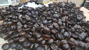 Tazón de cáscara de coco hecho con cáscaras de coco maduras que ofrece una forma única, durabilidad y estética natural para el comercio internacional. - Product Image 2