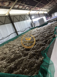 ÉCHELLES DE POISSON CRUTES SÉCHÉES DE HAUTE QUALITÉ/ÉCHELLES DE POISSON D'OSSEIN NATURELLES SÉCHÉES AU SOLEIL POUR LE COLLAGÈNE ET LA GÉLATINE DU VIET NAM POUR L'EXPORTATION - Product Image 2