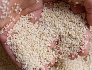 Graines de sésame blanches séchées en gros, graines de sésame biologiques, prix du sésame par tonne - Product Image 6