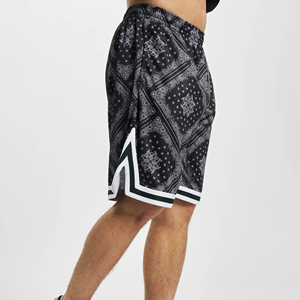 2024 Short en maille Logo personnalisé solide 100% Polyester séchage rapide respirant hommes entraînement Gym basket-ball Powerlifting Shorts - Product Image 4