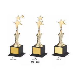 Trophée étoile d'entreprise élégant Qualité supérieure pour les récompenses de longue durée de service ou les ventes disponibles en vrac - Product Image 2