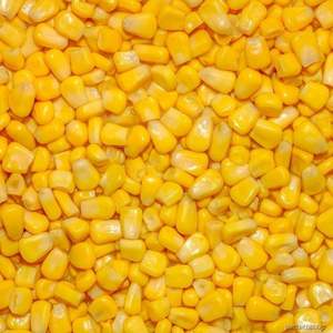 Maïs sucré en conserve en saumure meilleur choix norme d'exportation Vietnam - Product Image 3