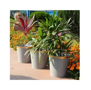 ชุดเครื่องปลูกสแตนเลส 2 ชิ้นพร้อมขาตั้งตกแต่งห้องนั่งเล่นที่ไม่ซ้ํากันหม้อพืชสมุนไพรคอนเทนเนอร์สําหรับใช้ในสวน - Product Image 5