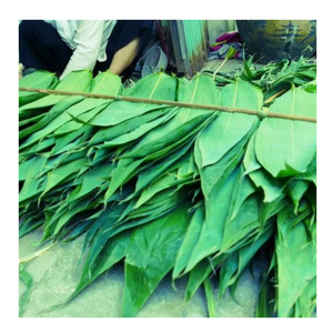 ใบไผ่อบแห้งจากเวียดนามรับประกันคุณภาพใบไผ่อบแห้งสม่ำเสมอมาตรฐานการส่งออกระดับมืออาชีพ - Product Image 3