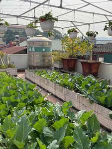 Plastic Raised Garden Planter <b>Box</b> Elevated Plastic Outdoor Garden <b>Vegetable</b> Flower Planter <b>Box</b> <b>for</b> <b>Planting</b> and Gardening - Product Image 5