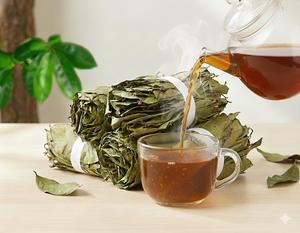 Hojas de Guanábana Secas para Té de Hierbas - Product Image 6